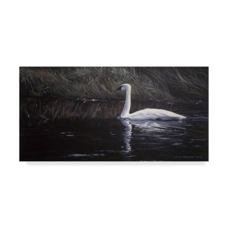 Ron Parker 'Summer River' Canvas Art,16x32